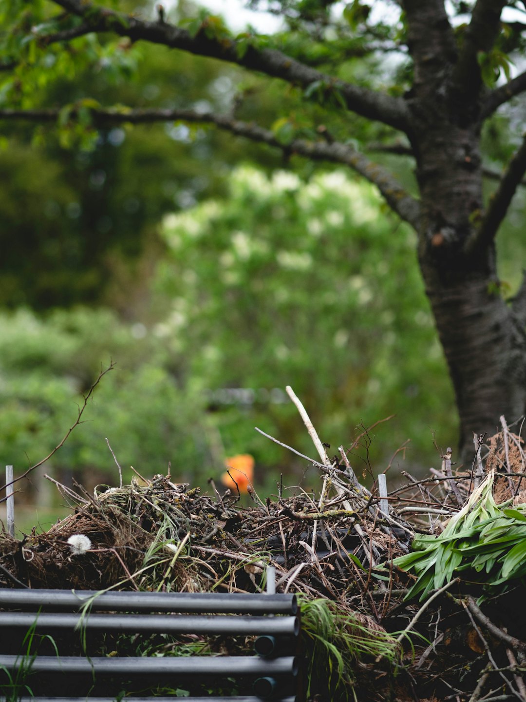 Verhedderter Gartenabfall und Metallrohre, die neben einem Baum aufgetürmt sind.